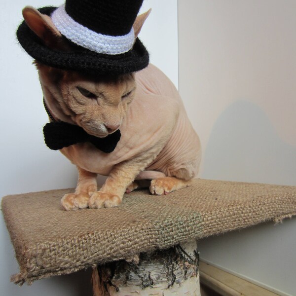 cat hat, crochet cat hat, animal hat, cat, cat costume, Pet Clothing, Pet Costumes, cat hat costume, hats for cats, knit cat hat, costume