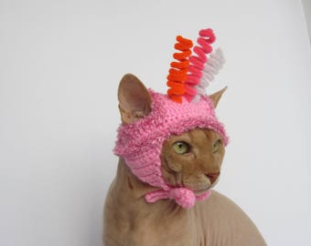 cappello per gatti, cappello per gatti all'uncinetto, cappello per animali, gatto, costume per gatti, abbigliamento per animali, costumi per animali, costume con cappello per gatti, cappelli per gatti, cappello per gatti lavorato a maglia, costume