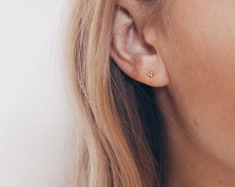 Kleine sierlijke oorbellen - Kleine gouden studs - Sierlijke zilveren studs - Stud oorbellen - Lobe oorbellen-kraakbeen studs-minimalistische oorbellen- S-PE00185