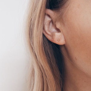 Kleine sierlijke oorbellen Kleine gouden studs Sierlijke zilveren studs Stud oorbellen Lobe oorbellen-kraakbeen studs-minimalistische oorbellen S-PE00185 afbeelding 1