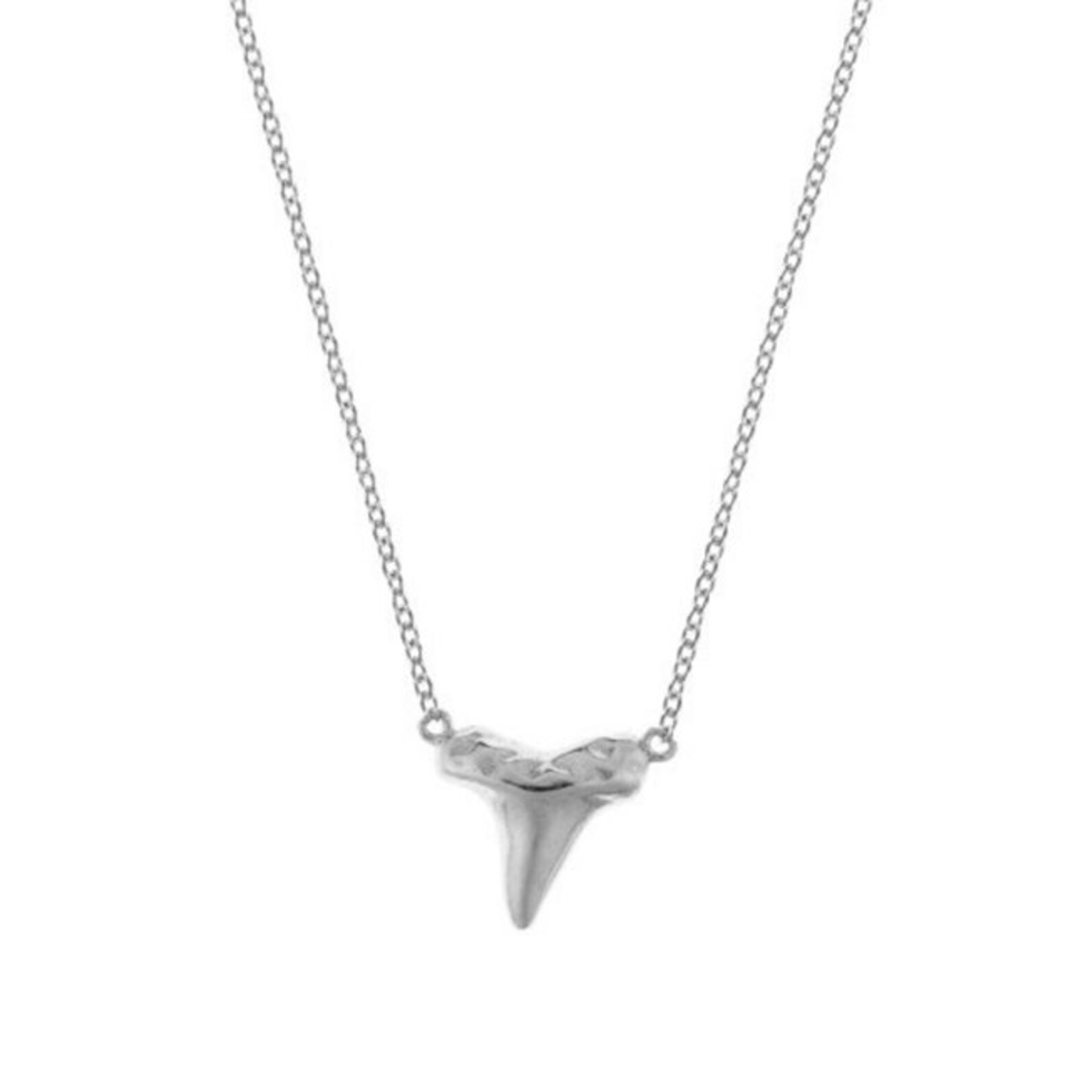 Shark Tooth Necklace Tusk Gold Necklace Shark Tooth Silver Etsy