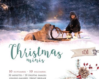 Christmas mini session template, Holiday Mini Session Template, Christmas Photography Marketing, instant download