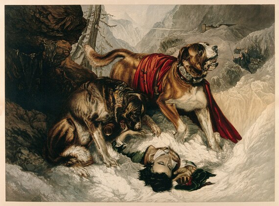 edwin landseer st bernard