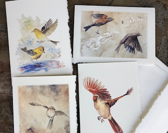 4 Bird Notecards