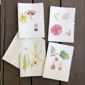 4 Garten Notizkarten