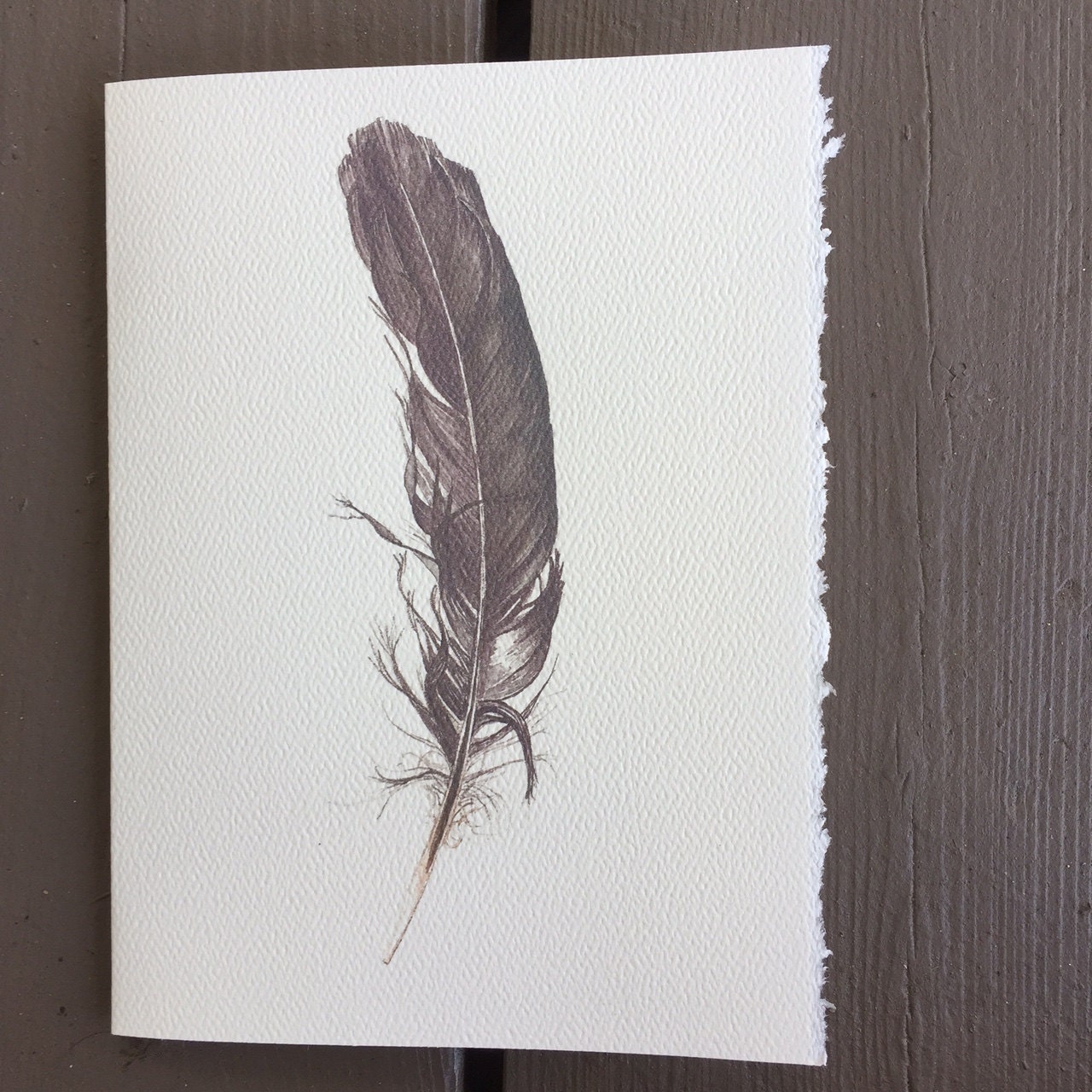 4 Feather Notecards - Etsy