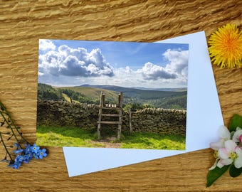 May include: A wooden ladder leans against a stone wall in a rural landscape. The sky is blue with white clouds. The scene is framed by green grass and trees.