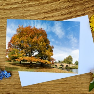 Paine's Bridge in Autumn at Chatsworth, Peak District A6-wenskaart en canvasafdruk