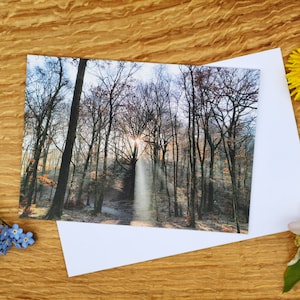 Zonlicht door bomen bij Grasmere Woods, Lake District A6-wenskaart en canvasafdruk