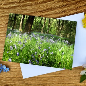 Bluebell Woods in the Peak District, A6-wenskaart en canvasafdruk