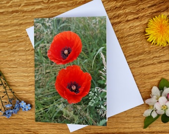 Klaprozen, wenskaart en canvasafdruk