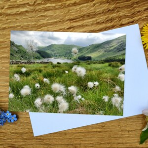 Cottongrass at Haweswater, Lake District A6 Greetings Card and Canvas Print