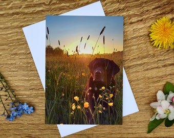 Cocoa at Sunrise A6 Greeting Card