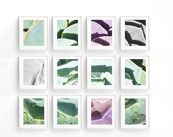 Set Of Twelve Vertical White Frame Mockup Styled Stock
