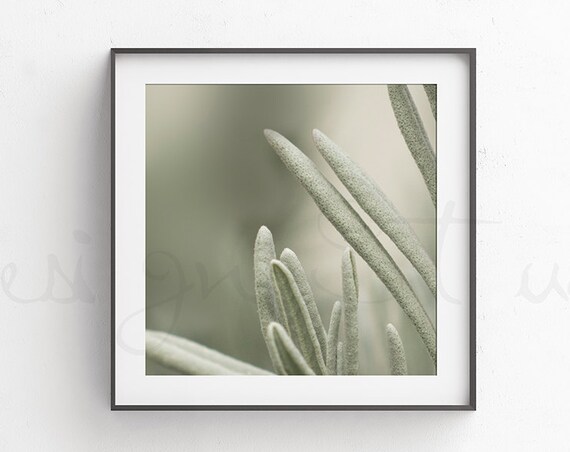 Square Black Frame Mockup Minimalist Mockup Poster Frame Mockup