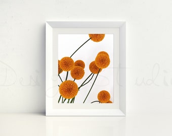 white Frame mockup, Styled Photography Mockup, stock photo