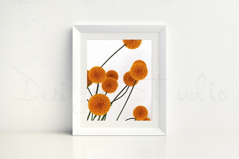 white Frame mockup, Styled Photography Mockup, stock photo image 1