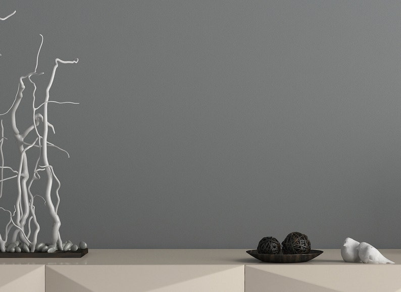 Dunkle Wand innen Foto leere Wohnzimmerwand Styled | Etsy