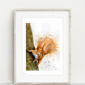 Rode eekhoorn aquarel kunstafdruk