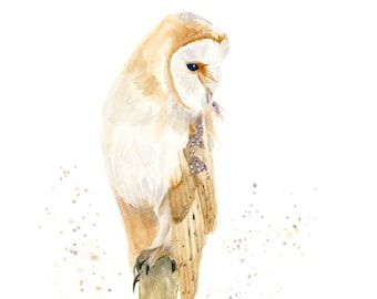 Impresión artística giclée de acuarela de lechuza común, fauna británica, impresión de aves