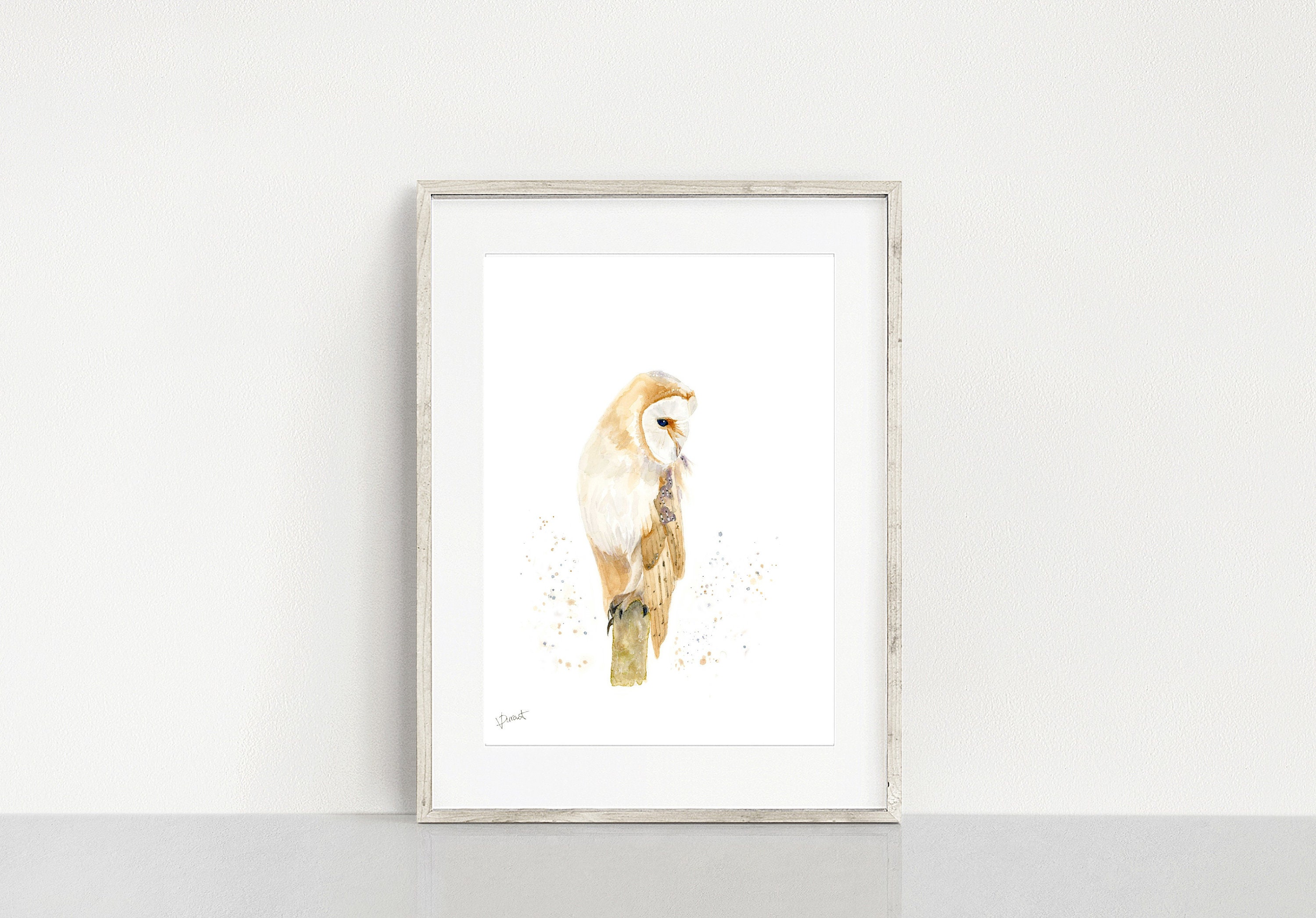 Barn Owl Watercolor Giclee Art Print, British Wildlife, Bird Print - Etsy