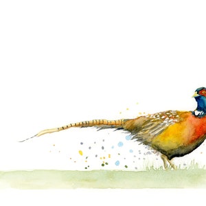 May include: Watercolor painting of a pheasant with a blue head and red chest, standing on a green field with colorful splatter paint in the background.