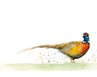 Pheasant Watercolour Art Print, A4 Giclee, Wall Art, Homeware