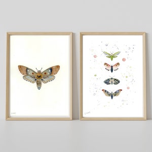 Motte Original Aquarell Gemälde 2er-Set