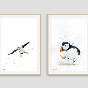 Puffin Seabird art PRINT set of 2, Art for Bird Lovers