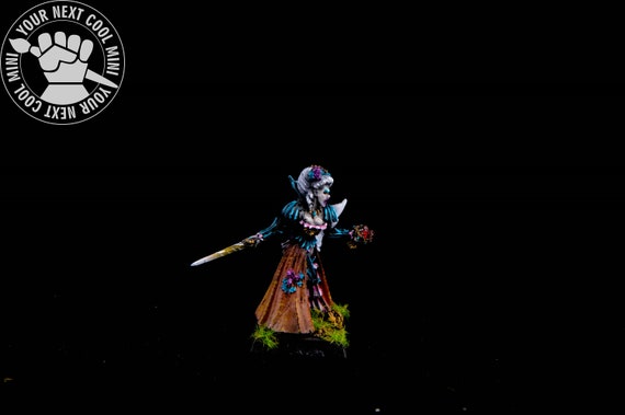 イザベラ・フォン・カーシュタイン ウォーハンマー カスタムオーダー、ウォーハンマーFB/T9A/AoS、イザベラ・フォン・カー