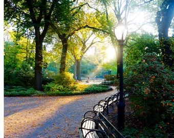 Central Park Photography, New York City Prints, Large Hanging Art, Wall Art, ArtForeverMoore, "Central Park Stroll"