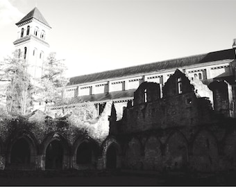 Belgian Monastery Print, Trappist Brewery, Orval, Belgium, Large Wall Art, Black and White Photography, Abbey Ruins, Beer Art - Les Abbayes