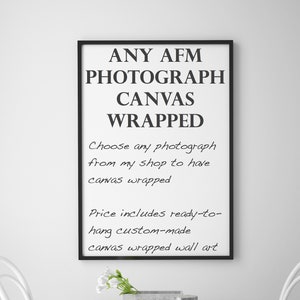 Choose Your Canvas Print, Any Art Forever Moore Photography Print, Custom Canvas Gallery Wrap, Variety of Sizes, Ready to Hang image 1