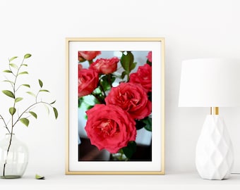 Red Rose Print, Flowers, Decor, Neutral Wall Art, Large Wall Art, Gift for Her Mother's Day, Birthday Gift - "Stop and Smell the Roses"