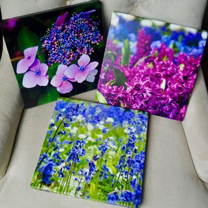 Choose Your Canvas Print, Any Art Forever Moore Photography Print, Custom Canvas Gallery Wrap, Variety of Sizes, Ready to Hang image 4
