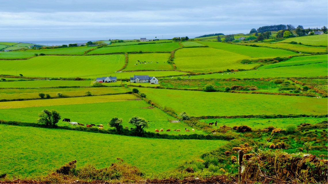 Irish Countryside Print Ireland Photography Fine Art Etsy Singapore