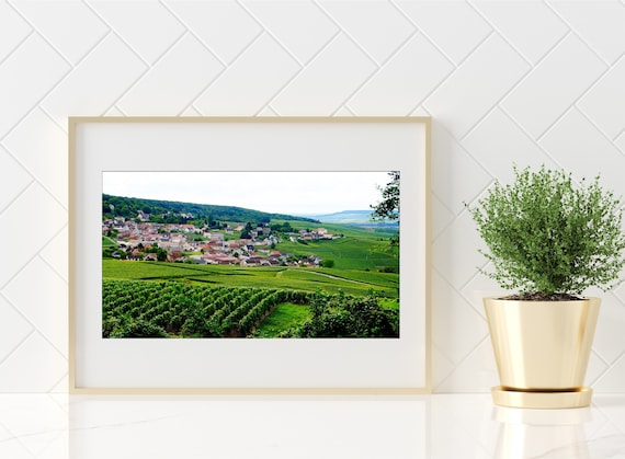 Vineyards of Epernay Print, Champagne, France, Landscape Photography, Rolling Hills, French Countryside, Winery, - "Epernay Vineyards"