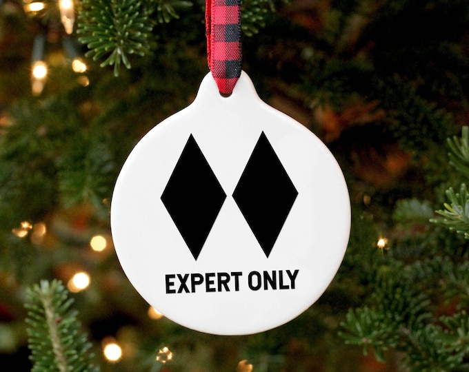 Ski Ornament / Skiing Gift / Gift for Skier / Skiing Ornament / Christmas Ornament / Double Black Diamond / Ski Cabin / Ski Home Decor