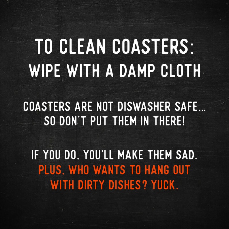 Lake Erie Gift / Ohio Gifts / Coasters / Lake House Decor / Etsy