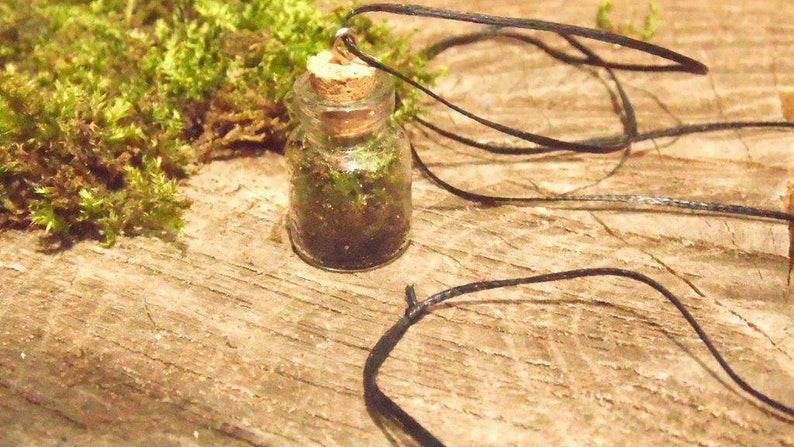 Terrarium Necklace Moss terrrarium Vial Bottle Necklace Botanical Necklace Glass Terrarium Necklace Moss in Vial