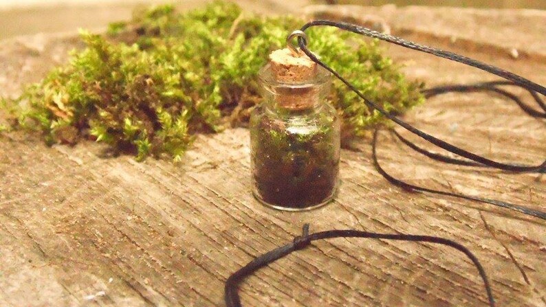 Terrarium Necklace Moss terrrarium Vial Bottle Necklace Botanical Necklace Glass Terrarium Necklace Moss in Vial