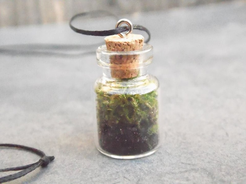 Terrarium Necklace Moss terrrarium Vial Bottle Necklace Botanical Necklace Glass Terrarium Necklace Moss in Vial