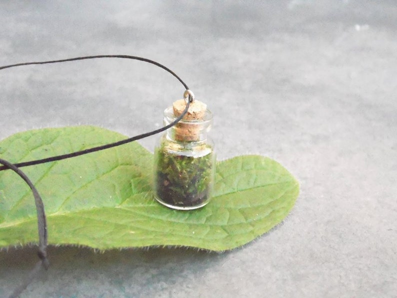 Terrarium Necklace Moss terrrarium Vial Bottle Necklace Botanical Necklace Glass Terrarium Necklace Moss in Vial