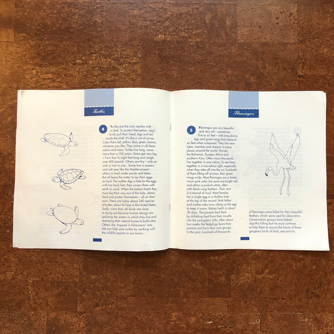 Hermès Coloring Book and Foldout Square 1992 La Vie Précieuse | Etsy