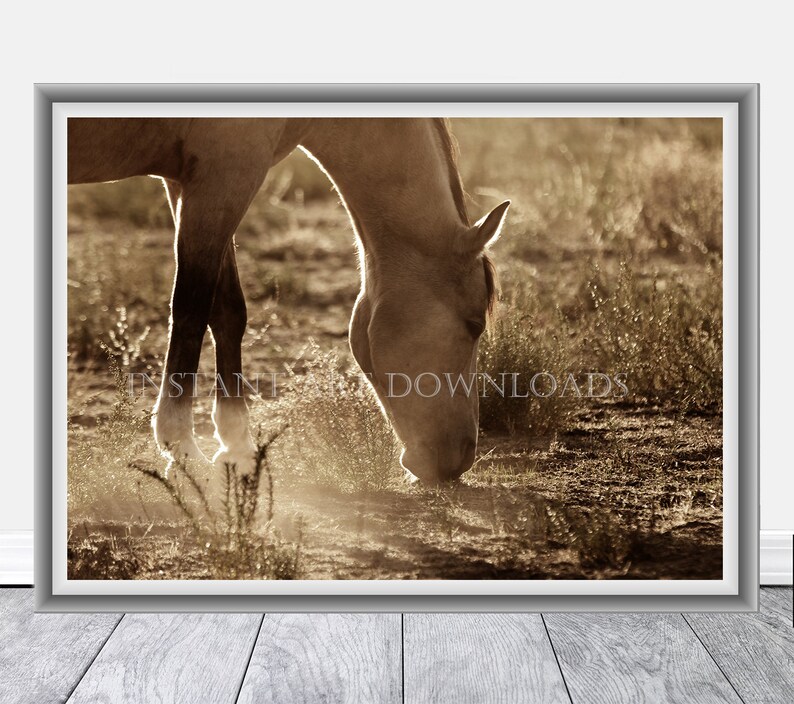 Horse Wall Art Instant Art Downloads Equestrian Cowboy Cowgirl Equine Printable Extra Large Prints Horse Pictures Sepia Prints Horse Prints
