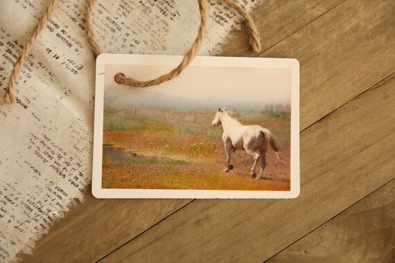 Horse Gift Tag Printable Gift Tag Instant Art Digital | Etsy