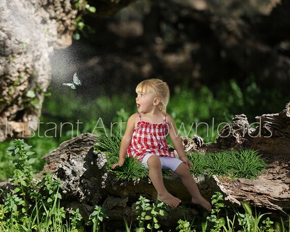 Studio Photography Backdrop Background Enchanted Forest 4k High Definition Nature Digital Download Layered Photoshop Files Teal Butterfly