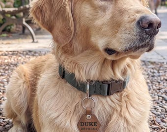 Dog Tag, Pet ID Tag, Custom Dog Tag, Personalized Dog Tag, Leather Dog Tag, Dog Name Tag, Engraved Dog Tag, Quiet Dog Tag, Dog Collar Tag