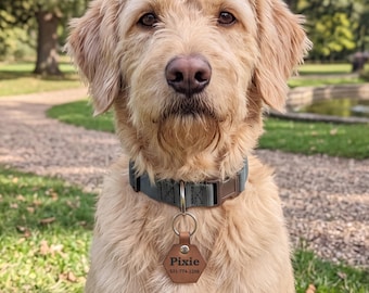 Personalized Leather Dog Tag, Custom Hexagon Pet ID Tag, Engraved Leather Pet Name Tag, Dog Collar Charm with Phone Number, Quiet Dog Tag