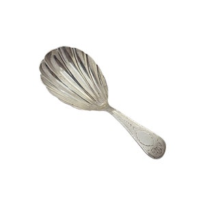 Antique Richard Crossley London English Sterling Silver Tea Caddy Shell Bowl Spoon #14080